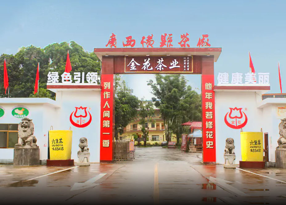 廣西金花茶業(yè)有限公司
